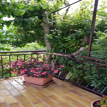 2 Bedroom In Apartment