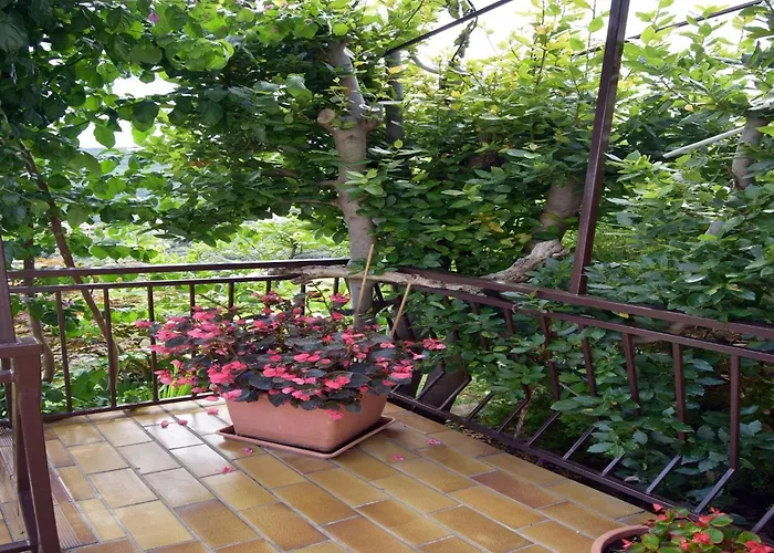 Cozy Near Appartamento